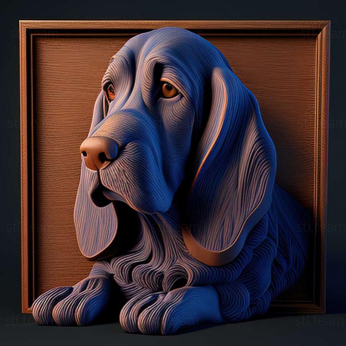 Blue Gascon Basset dog